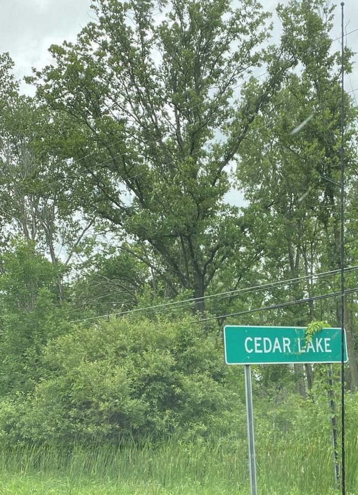 Cedar Lake - July 2020 (newer photo)